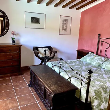 Villamato Ulivo * Arezzo
