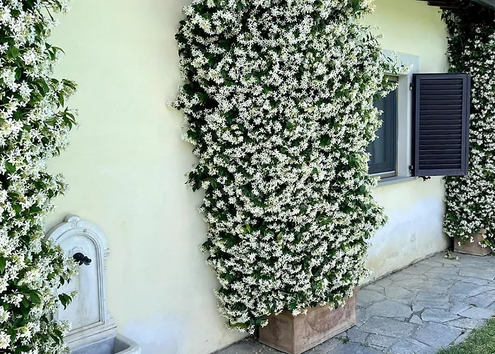 Villamato ארצו